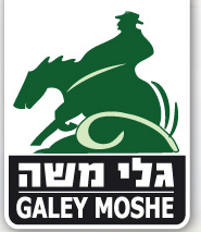 Galey Moshe